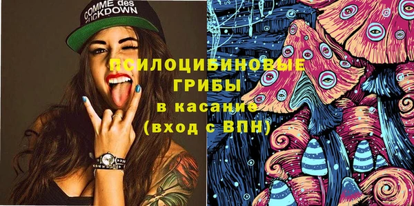 гидра Лиски