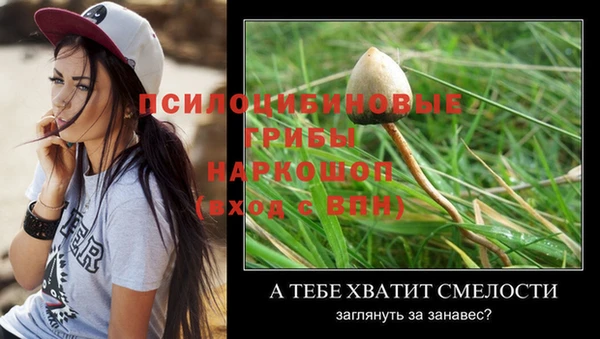 гидра Лиски