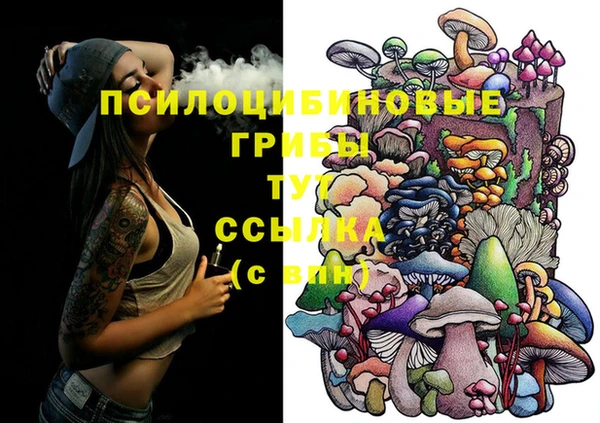 гидропоника Лихославль