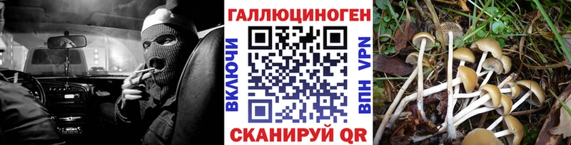 Псилоцибиновые грибы GOLDEN TEACHER Псков